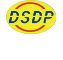 대성디피